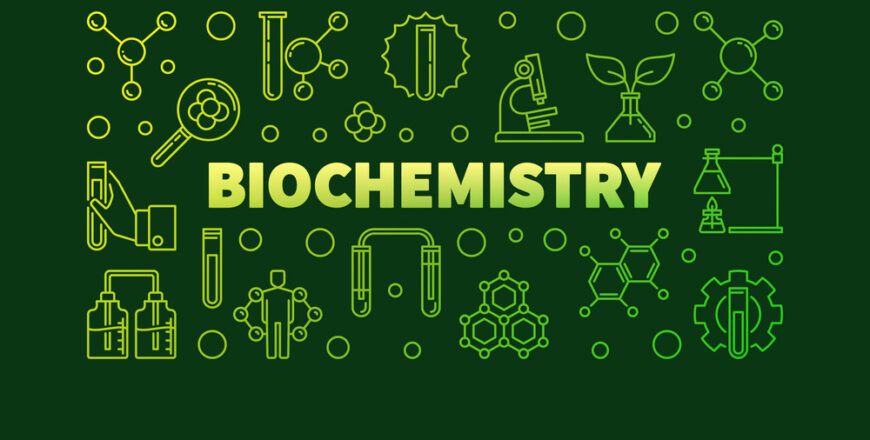 Biochemistry vector green outline banner or illustration