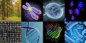 genetics-and-molecular-biology.jpg