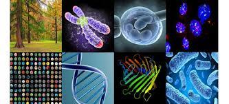 genetics-and-molecular-biology.jpg