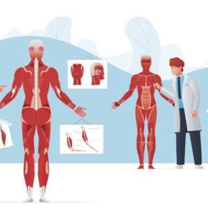 Anatomy Medipol 2024