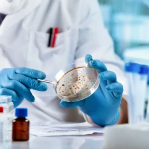 Medical Microbiology – Atlas – 2024