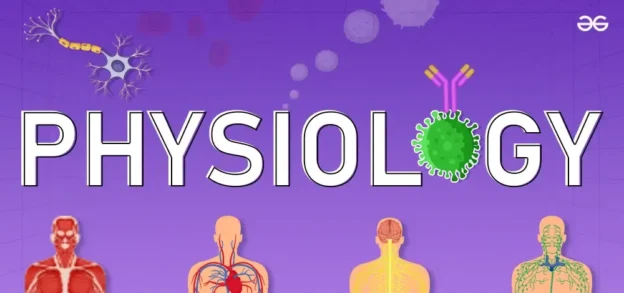 physiology Aydın 24/25