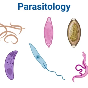 parasitology ıstinye